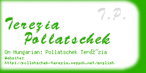 terezia pollatschek business card